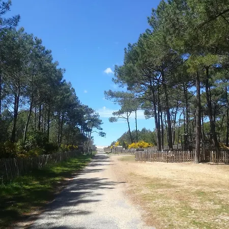 5p Confort Mimizan Dans Village Bias (Landes)